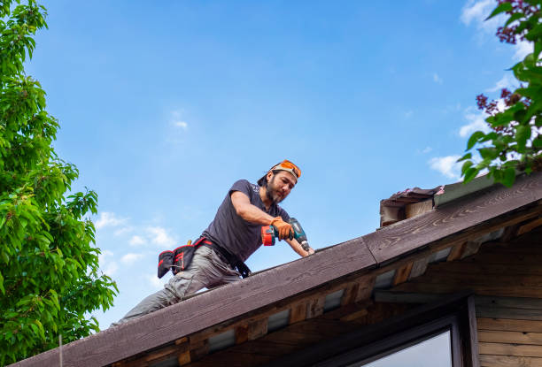 Best Roof Insulation Installation  in Corcoran, MN